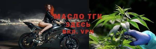 индика Дмитровск