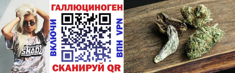 дарк нет телеграм  Мостовской  Псилоцибиновые грибы мицелий  как найти закладки  блэк спрут tor 